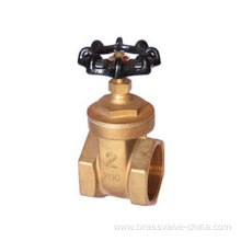 PN 16 thread oil and gas pipeline water brass gate valve HG13